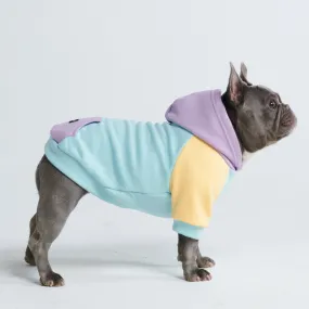 Daydream Dog Hoodie